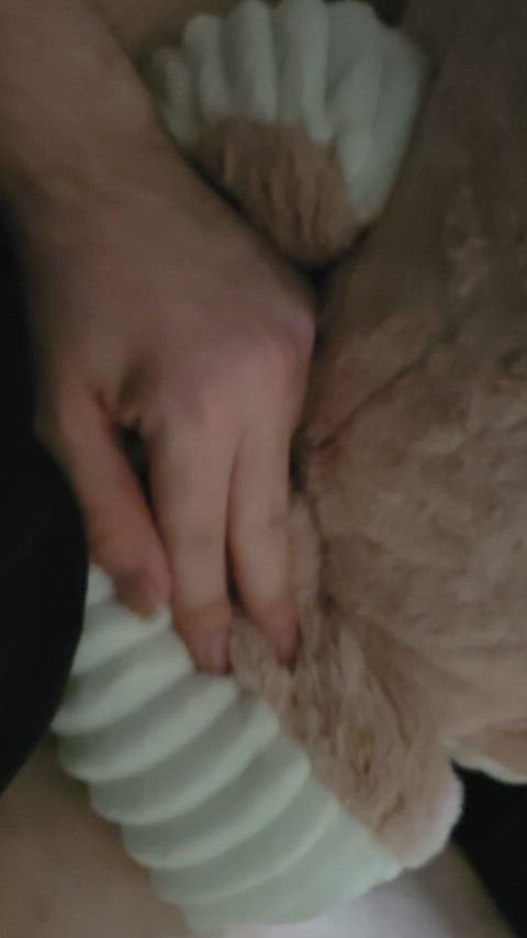 grinding humping trans gif