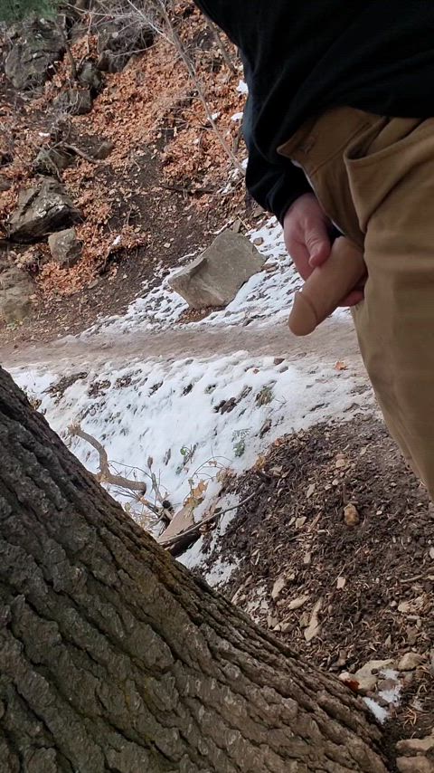 Satisfying Tree Marking (STP)