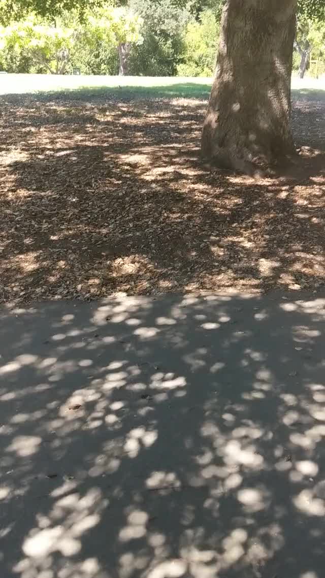 Outdoors