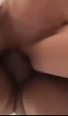 Latino Bull M4F/FM