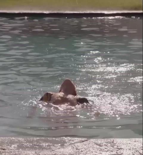 celebrity cinema hot tub movie natural tits small tits star starlet swimming pool