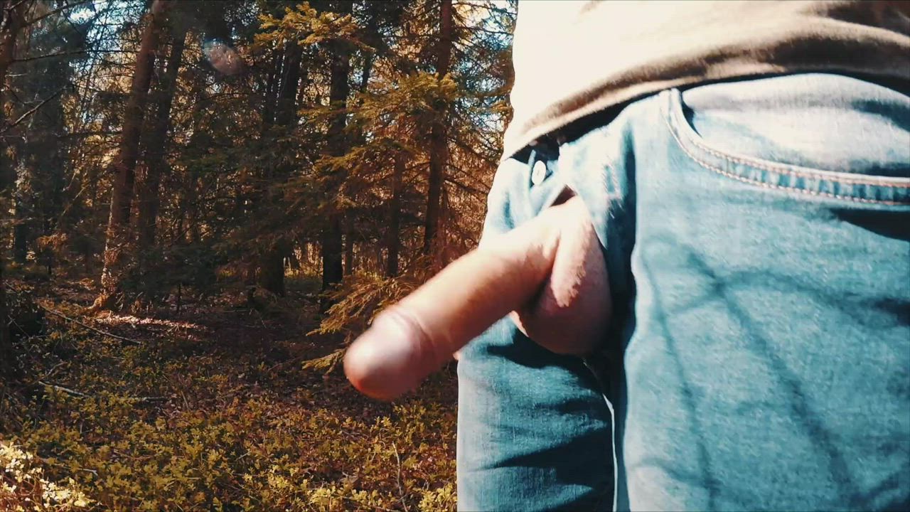 Enjoying springtime, swinging my cock in the woods. Wanna see more? Big enough to