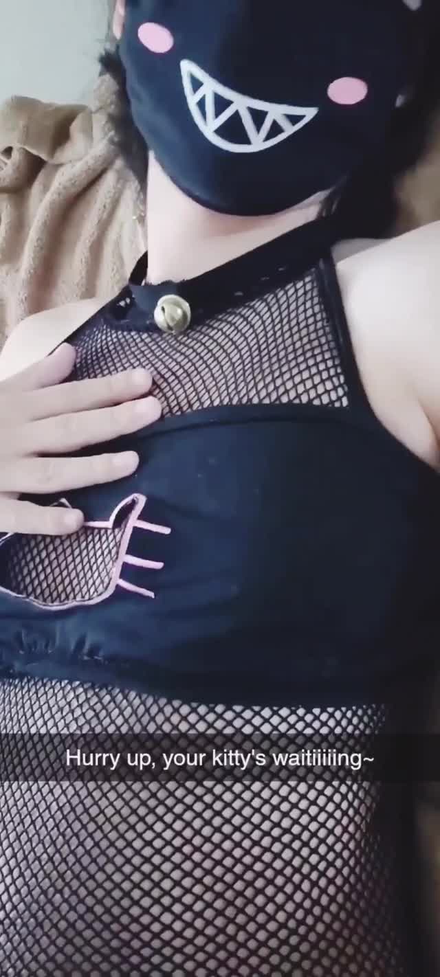 Lonely kitty snaps you~