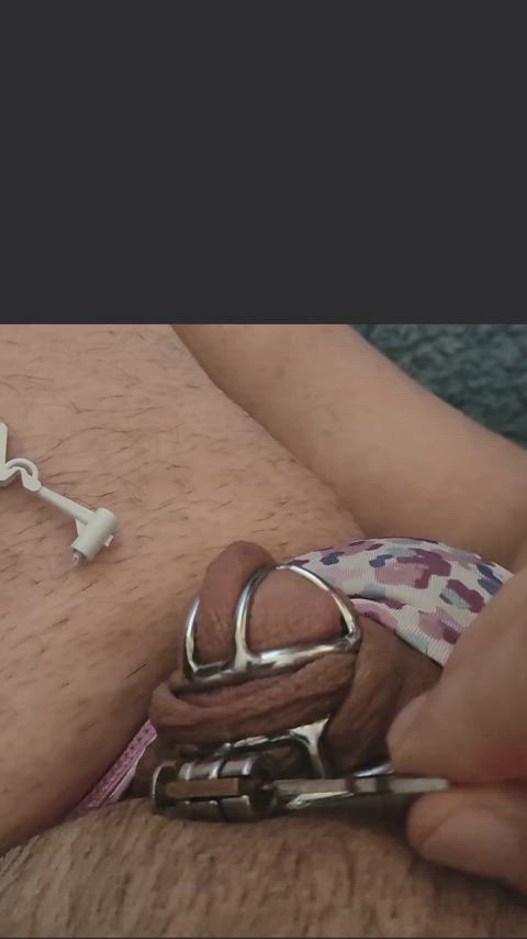 caged chastity homemade panties sissy sissy slut microchastity sissy-pov gif