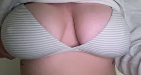 do you like NFTs? (nice fucking tittles)