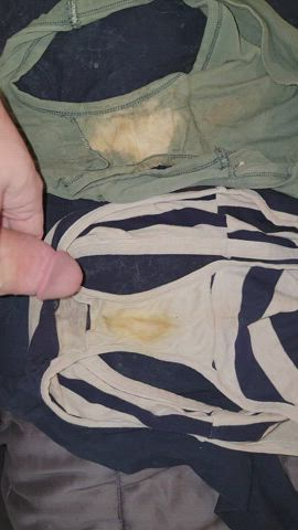 Fun with a couple pair of wife's dirty panties
