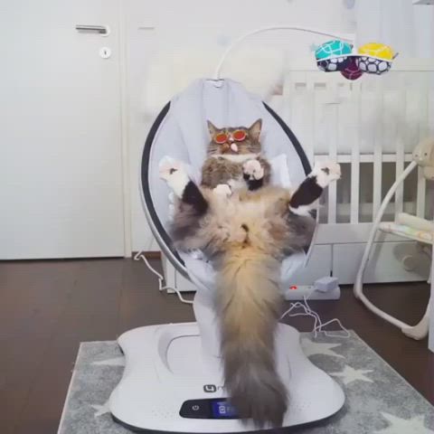 pawg jerk off tiktok gif