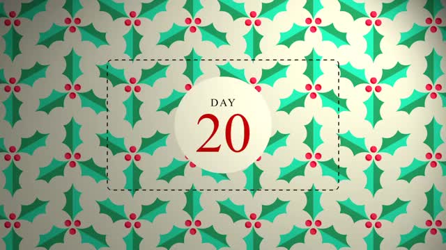 Day 20