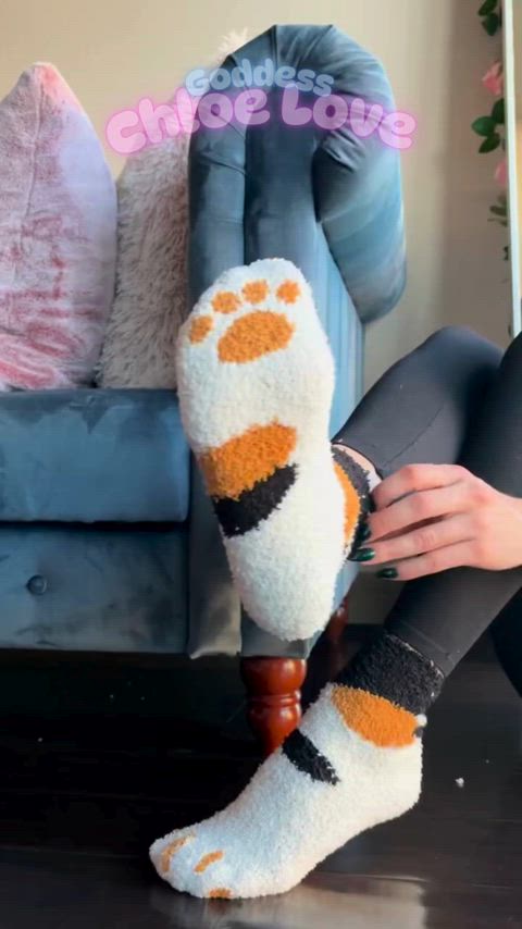 ankle socks knee high socks socks gif
