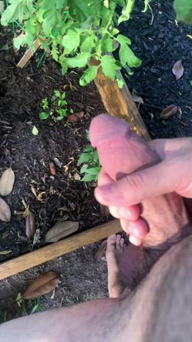 Stroking piss all over my garden