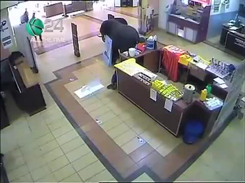 K24 Investigates: Westgate Siege Unravelled