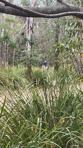 Watching my boyfriend blow another man from the bushes