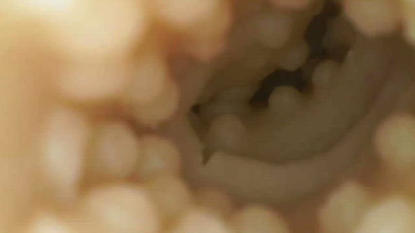 doll pussy sex doll gif