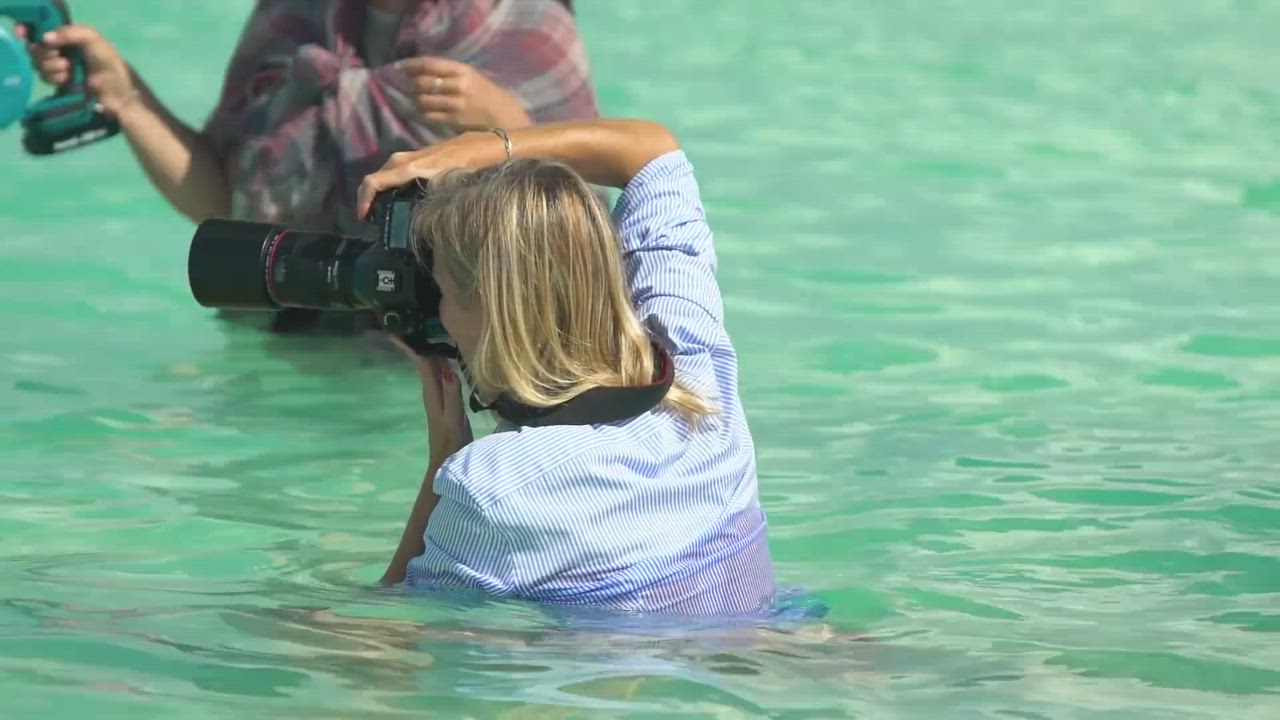 Babe Serena Williams gif
