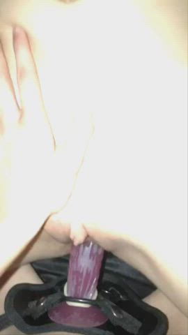 big ass big tits creamy cum lesbian lesbians strap on threesome wet pussy gif