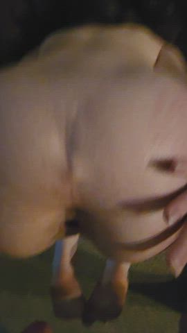 Made her husband watch me fuck her ass while she called me Daddy.