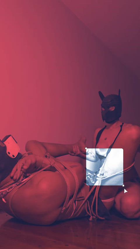 bondage photoshoot shibari gif