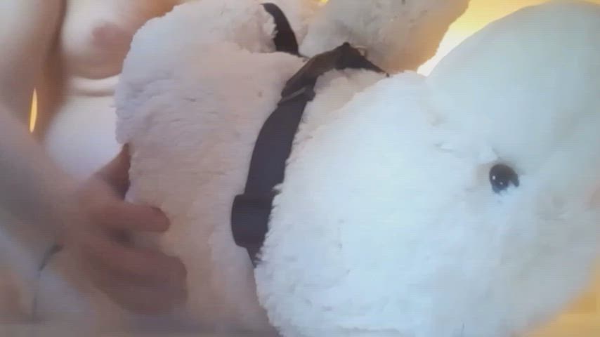bear sex toy gif