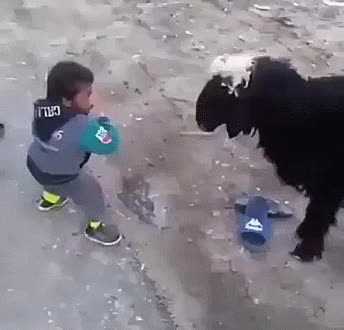 SHADOW OF THE COLOSSUS DA VIDA REAL