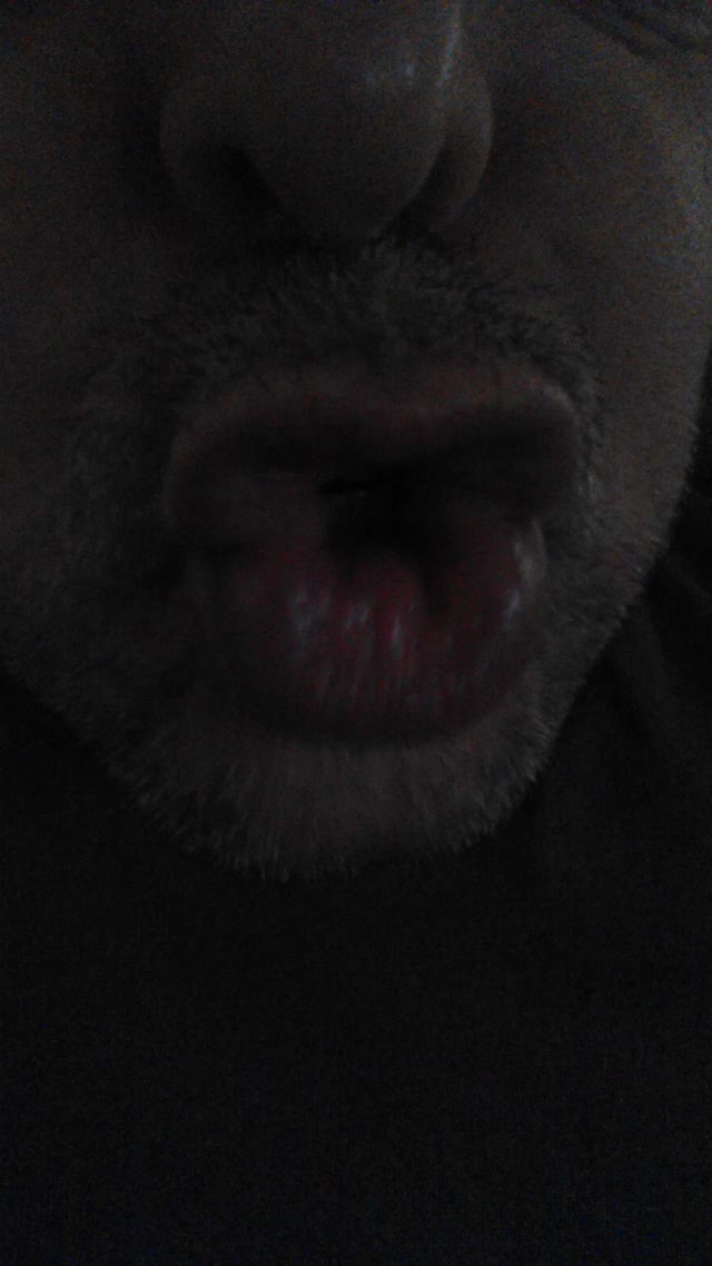 VID 20200414 111354
