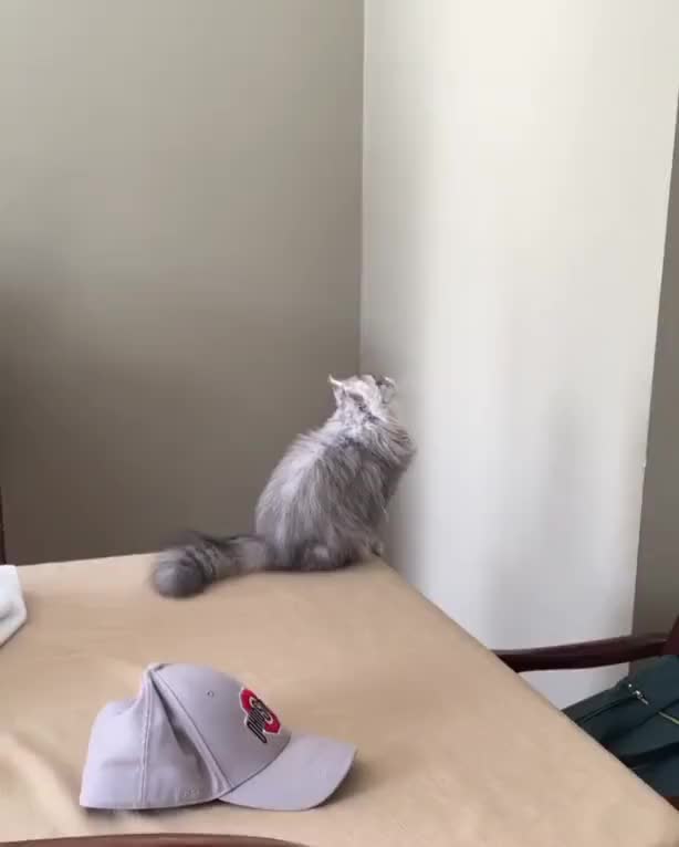 HMC while I attack nothing
