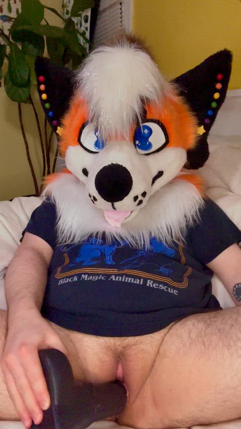 bad dragon boy pussy dildo ftm furries furry masturbating pussy solo trans gif