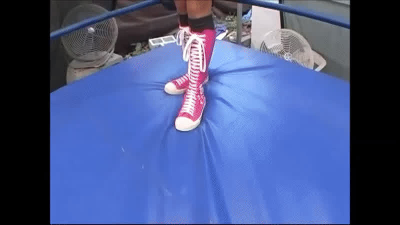 asian bikini brunette nicole oring wrestling gif