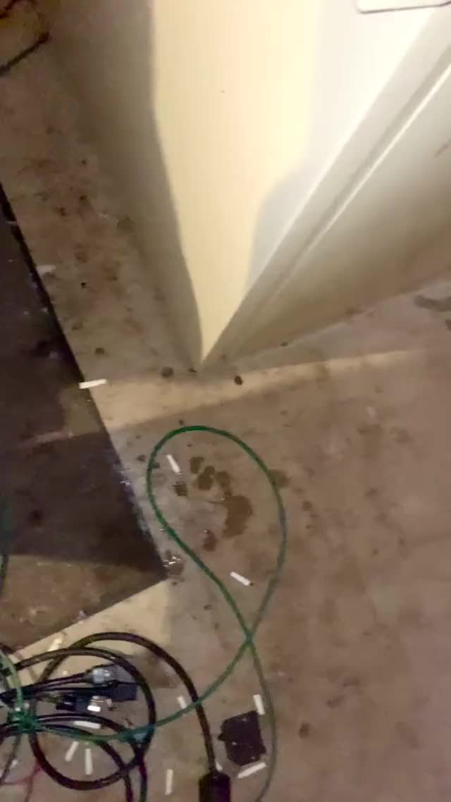Used my Lovense Edge prostate vibe on my cock to have my first ever MALE SQUIRTING