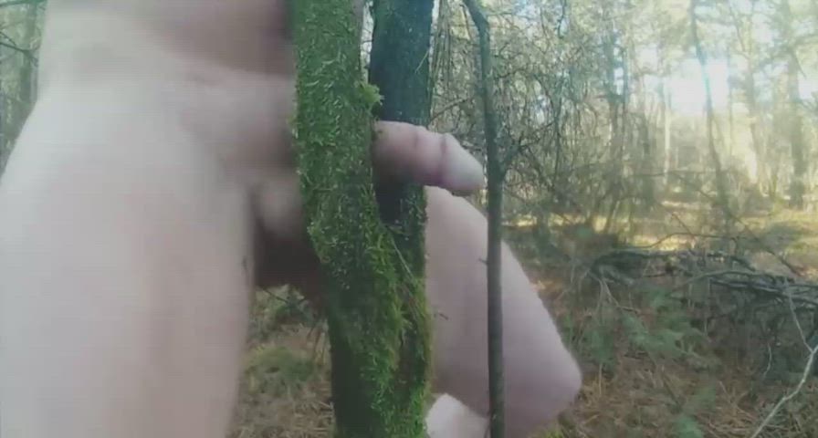 Giving back to the nature again. 