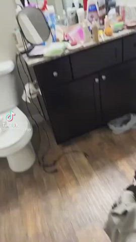 big tits nipples nipslip tiktok tits r/tiktits gif
