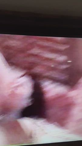 bbc cuckold hotwife gif