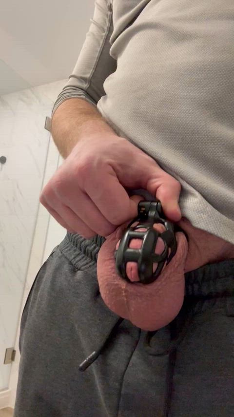 caged chastity precum gif