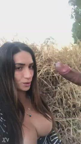 big dick blowjob trans gif