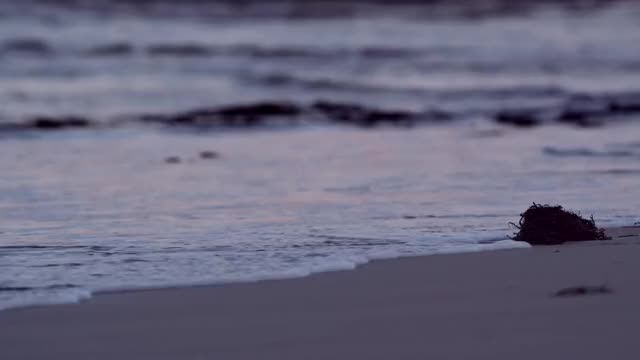 NORTHBOUND Skateboarding on Frozen Sand