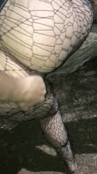 BBW Fishnet Outdoor gif