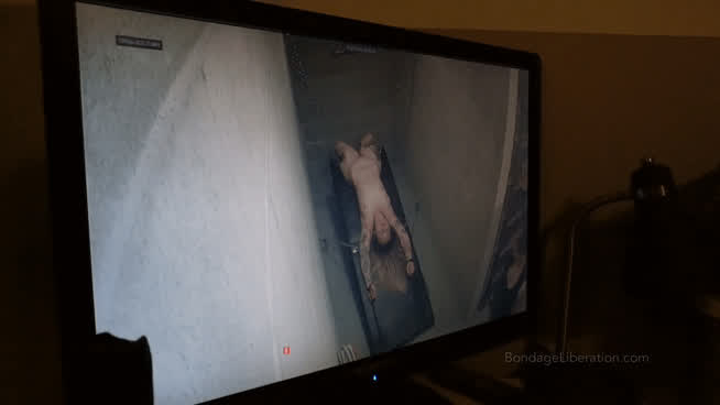 bdsm bondage fetish prison role play voyeur gif