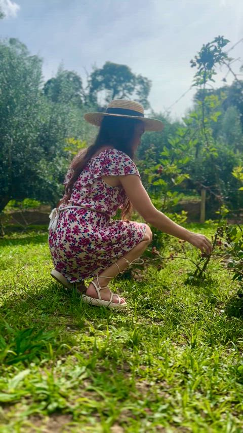Friday in the garden