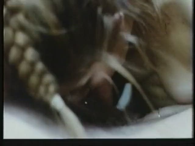 Blowjob Cumshot Threesome Vintage gif