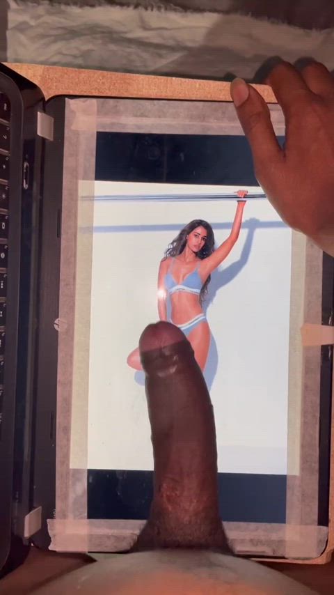 big dick bollywood celebrity desi indian cock tribbing tribute r/tributeme gif