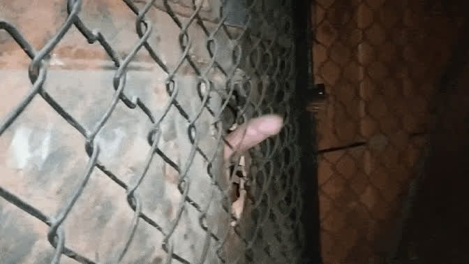 big dick cock cum glory hole homemade jerk off male masturbation masturbating nsfw