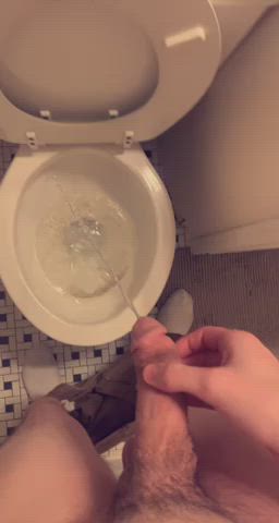 Missed the toilet bowl whoops