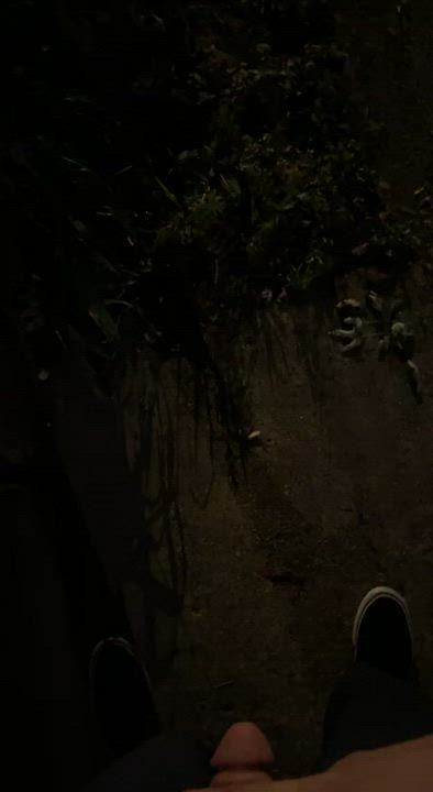 Pee Pissing Public gif