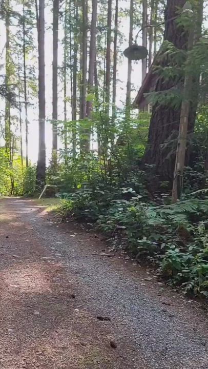 Big Tits Outdoor TikTok gif