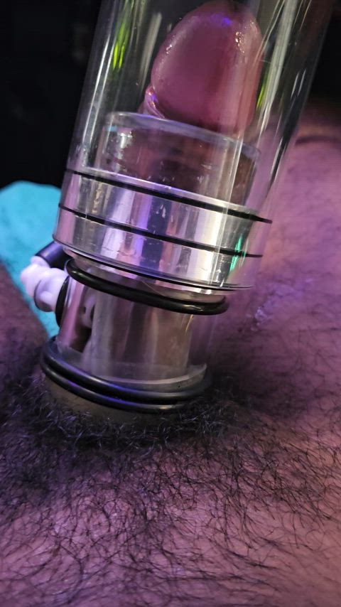 Sri Lankan stud in the double chamber