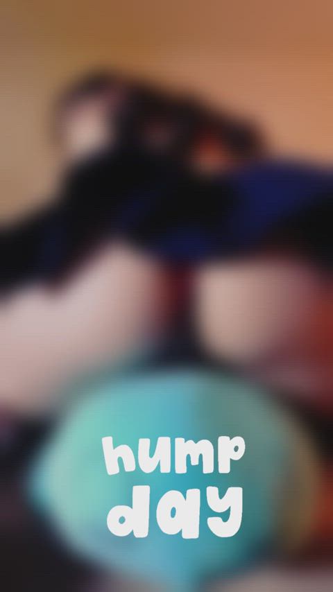 When everyday is Hump Day.. 
