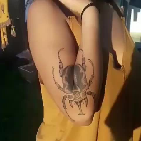  gif