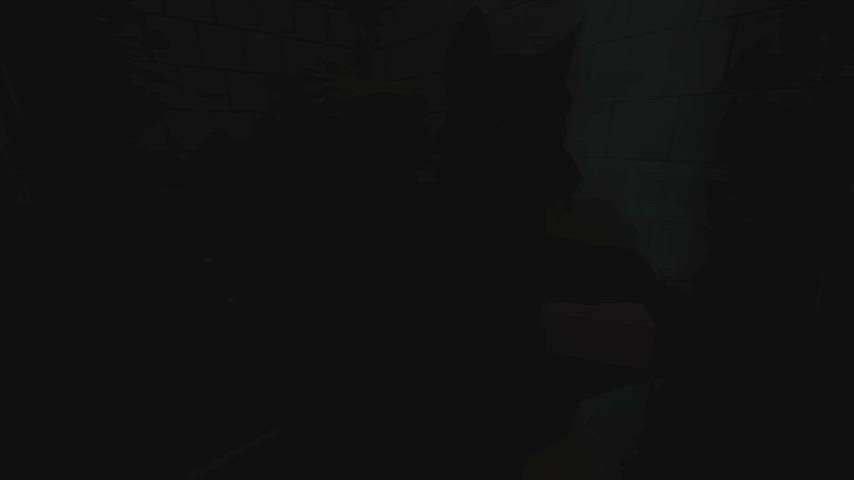 furry gay shower gif