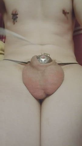 balls pain whipping gif