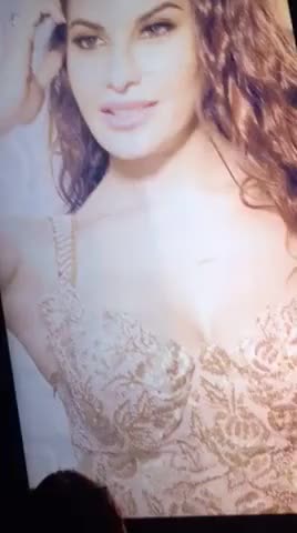 Jacky tribute 1