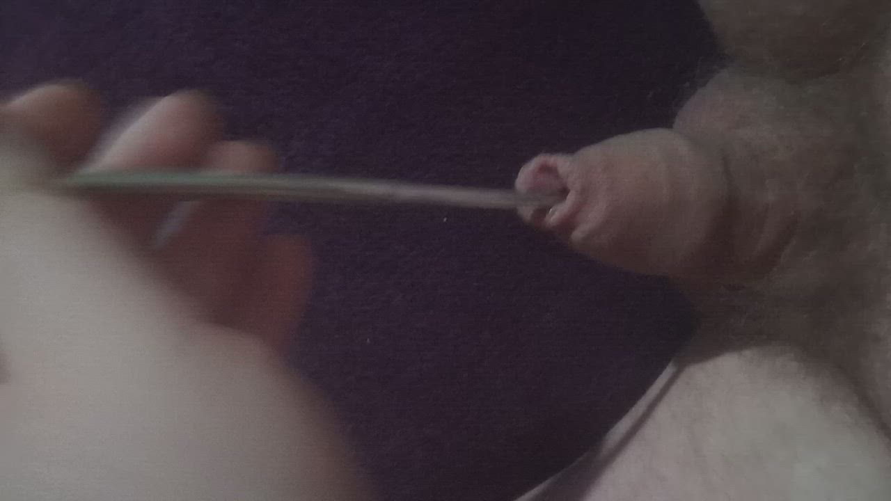 Big Dick Cock Penis gif